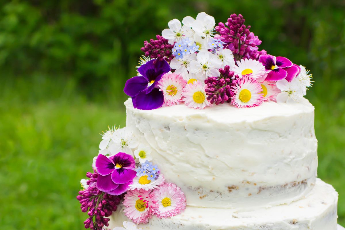 Semi-naked wedding cake with large colourful flowers